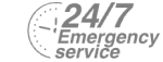 24/7 Emergency Service Pest Control in Neasden, NW2. Call Now! 020 8166 9746