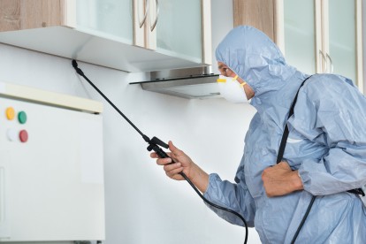 Home Pest Control, Pest Control in Neasden, NW2. Call Now 020 8166 9746